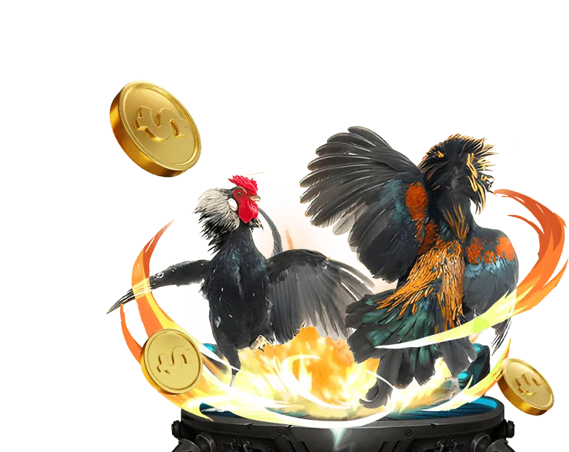 Khuyến mãi thể thao độc quyền 6ffvip